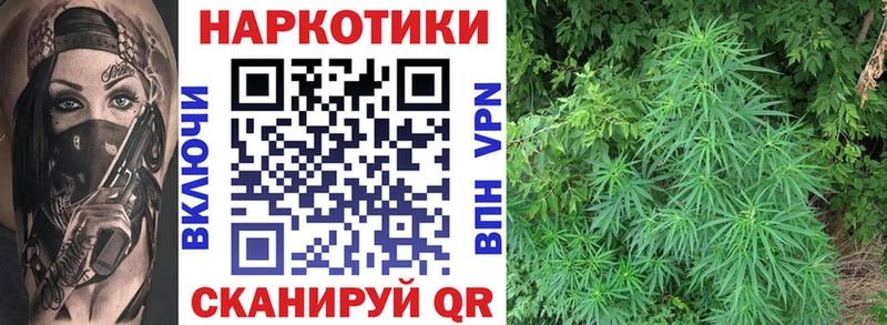 Где купить Хасавюрт Гашиш COCAIN Меф МАРИХУАНА