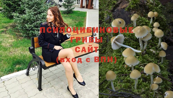 ешки Заволжск