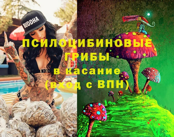 а пвп мука Заводоуковск
