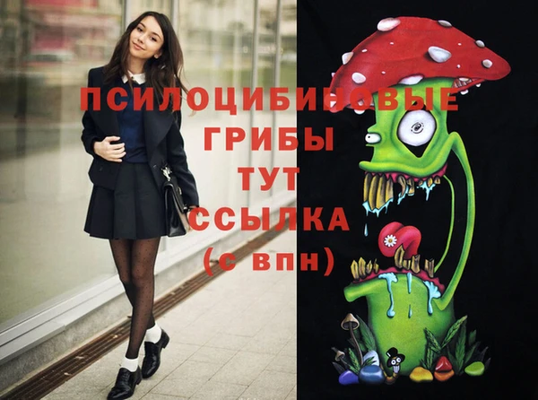 а пвп мука Заводоуковск