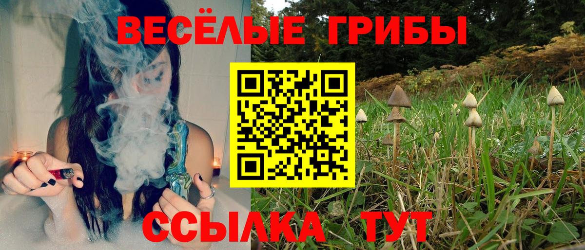 Псилоцибиновые грибы Psilocybine cubensis Хасавюрт