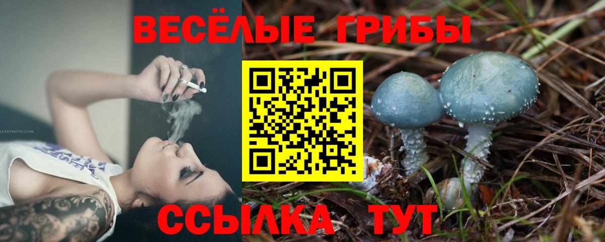Галлюциногенные грибы мицелий  Вход с VPN  Хасавюрт 